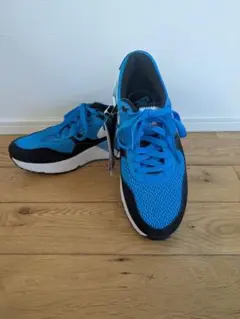 ナイキ Air Max スニーカー ブルー/ブラック