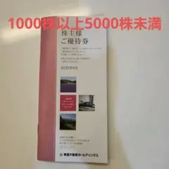 東急不動産ホールディングス　株主優待　1000株以上