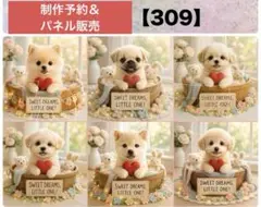 りんごパネル309番 各1枚