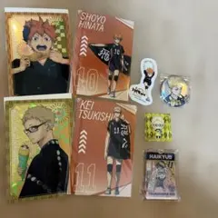 ハイキュー　日向翔陽　月島蛍　セット