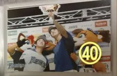 大谷翔平 2017 ハイライトフォト ㊵ 日本ハム 球団公式写真 エンゼルスのサムネイル