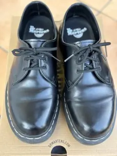 Item thumbnail for item bb9b77a4-e8aa-4d1a-9694-2f7fc213d6a9