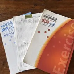 Item thumbnail for item e49ed7a5-afc0-4e8e-9afc-960d0495286b