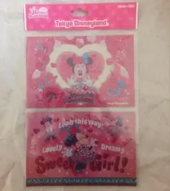 ポストカード ディズニー パルパルーザ ミニー ファンダーランド