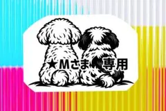 ★Mさま 専用出品です