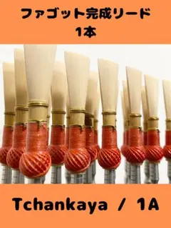 Item thumbnail for item 9edfa14a-4162-4ed3-8589-8a72711dc09b