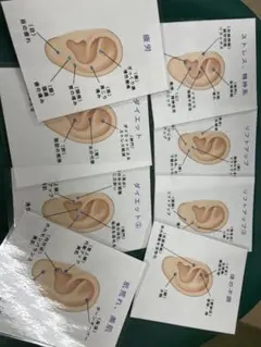 耳つぼアクセサリーセットとジュエリーパーツ　耳つぼマップ付
