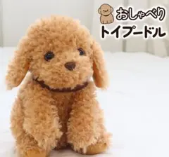 Item thumbnail for item 21af8926-9f05-49cd-8e6d-25e5292c4e9a