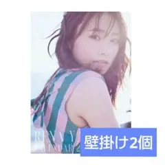 Item thumbnail for item 4537c100-e9bd-45a0-a42e-373479691d6a