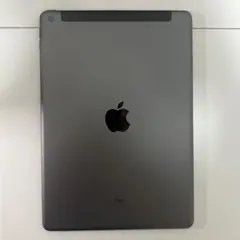 Apple iPad（第7世代）Wi-Fi+Cellularモデル本体