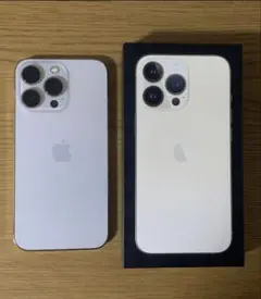 極美品iPhone13Pro 128GB SIMfree シルバー100% 63 極美品iPhone13Pro 128GB SIMfree シルバー100% 63 - メルカリ