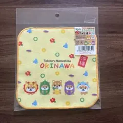 Item thumbnail for item 83a3b6dc-be38-455b-834f-9dae0282ea3b