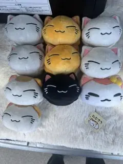 ねむネコ　ぬいぐるみ　まとめ売り 2026年最新】ねむネコぬいぐるみの人気アイテム - メルカリ
