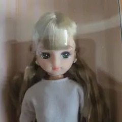 リカちゃんキャッスル 2017年度日本橋アイコンモデル リカちゃんV4