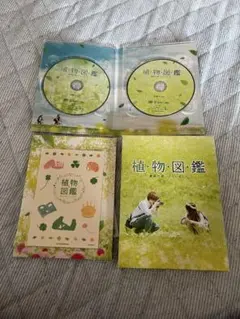 植物図鑑 運命の恋 ひろいました 高畑充希 岩田剛典 豪華版 DVD2枚組