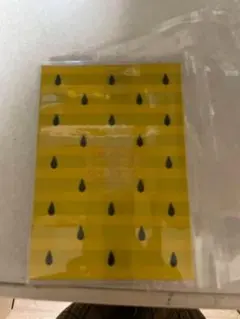 Item thumbnail for item e373839e-b9f4-4ddb-812b-88335180234c