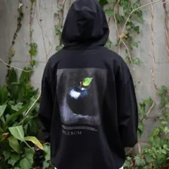 Item thumbnail for item 56d1b1ea-f426-47aa-bf2e-6d141c9ad83a