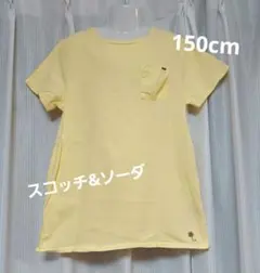 スコッチ&ソーダ　Tシャツ　150 　イエローのサムネイル