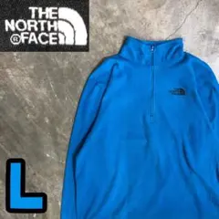 7T7649 THE NORTH FACE フリース　ハーフジップ　古着
