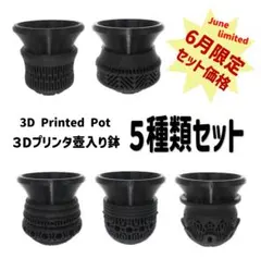 3Dプリンター鉢　植木鉢　壺入り鉢　5種類セット　サボテン　ハオルチアのサムネイル