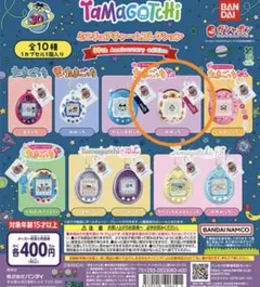 【24時間以内発送】 めめっち ミニチュアチャームコレクション30th