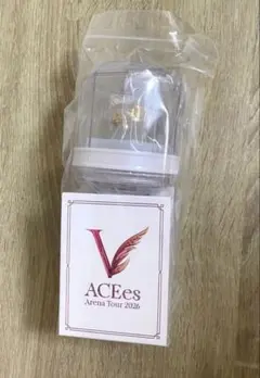 ACEes Arena Tour 2026 ペンライト2本セット - メルカリ