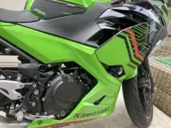 ninja250sl 2020年 インドネシアカラー 写真晴れの日に追加します 
