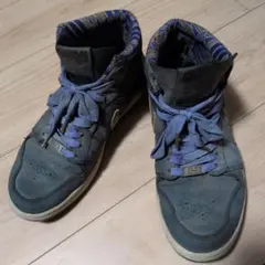 Nike ハイカットスニーカー グレー/パープル