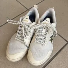 Item thumbnail for item c7585dc6-890d-40f8-b907-a61035dc6034