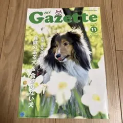 JKC Gazette 11月号