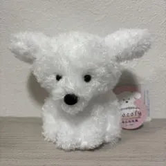 トイプーのモコフィーみんな元気　ST　モコフィー　犬　トイプードル　ぬいぐるみのサムネイル