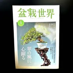 2025年最新】盆栽世界の人気アイテム - メルカリ