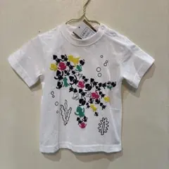 Item thumbnail for item 40f50211-6769-4605-9f0e-95e5cc2ca8a0