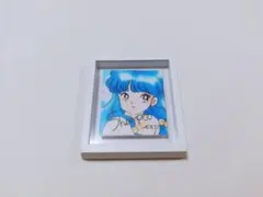 らんま1/2　イッツデモ　マグネット　シャンプー