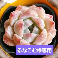 ❀るなこむ❀様 リクエスト 4点 まとめ商品