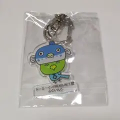 ドーミーインコ様追加分　通常15コ+ミニ5コセット 2025年最新】ドーミーインコの人気アイテム - メルカリ