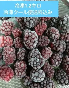 冷凍ブラックベリー　 1.2キロ 冷凍クール宅急便　送料込みのサムネイル
