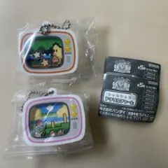 星のカービィ シャカシャカアクリルチャーム 2個セット