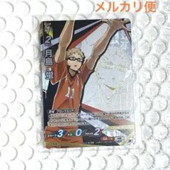 ハイキュー‼︎ バポカ　最強の挑戦者　頂　月島蛍
