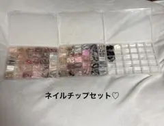 【美品】ネイルチップ セット y2k 韓国 大量まとめ売り 収納ケース付き