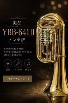 2026年最新】ロータリーチューバの人気アイテム - メルカリ