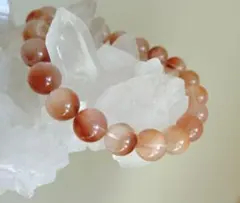 瑪瑙 金魚×グレーサゲニテック 2025年最新サゲニティックの人気アイテム - メルカリ