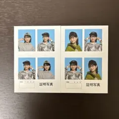 すまも証明写真 2枚セット