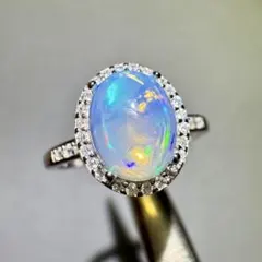 寝ている猫様 リクエスト 3点 まとめ商品