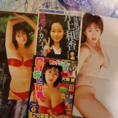 Item thumbnail for item 5928a85d-30e0-4fb3-9676-113be8b8616a