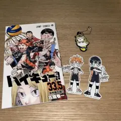ハイキュー！！ ゴミ捨て場の決戦 日向翔陽 影山飛雄 木兎光太郎ラバーストラップ