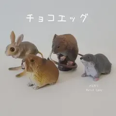 チョコエッグ ナキウサギ ケナガネズミ カワネズミ トビネズミ げっ歯目