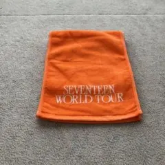SEVENTEEN セブチ スローガン 入場特典 - メルカリ