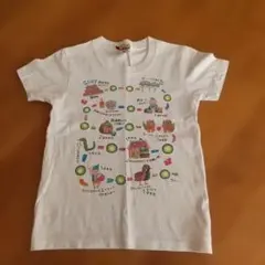 沖縄 トップス
