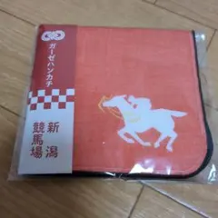 【新品未使用】新潟競馬場 オレンジ タオルハンカチ 約24×24cm